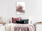 Canvas Print Floral Glamour Glow 1-part Delicate Pink Rose
