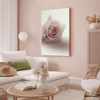 Pastel Pink Rose Floral Canvas Print