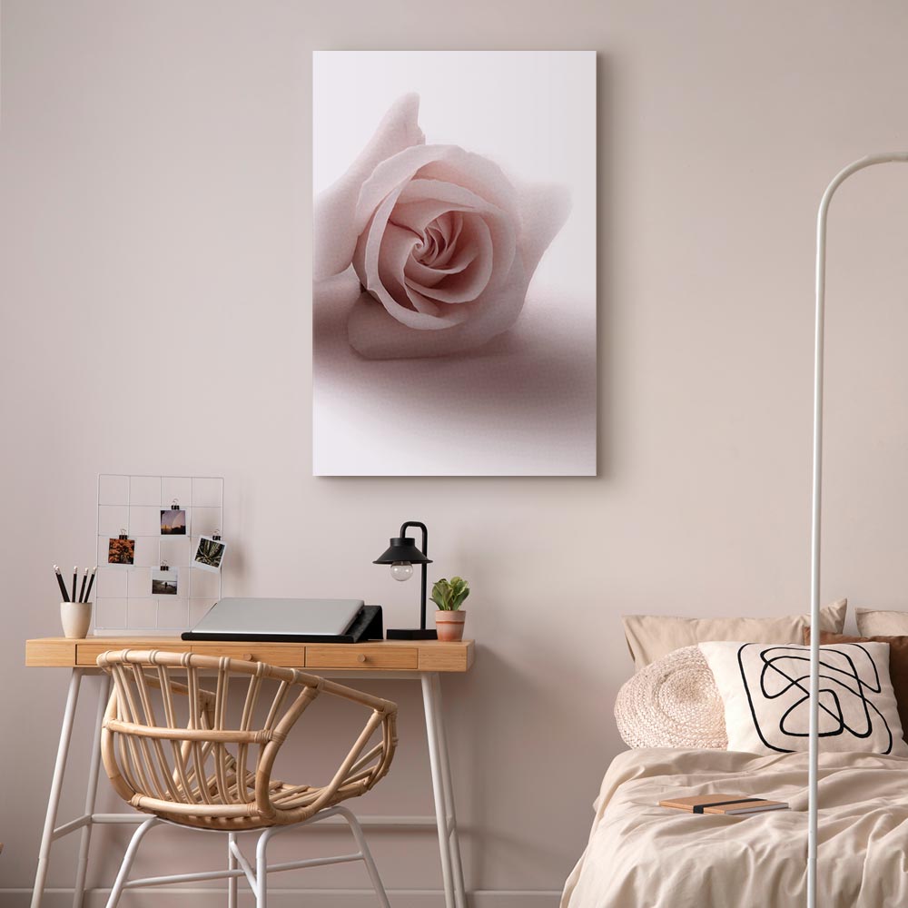 Pastel Pink Rose Floral Canvas Print