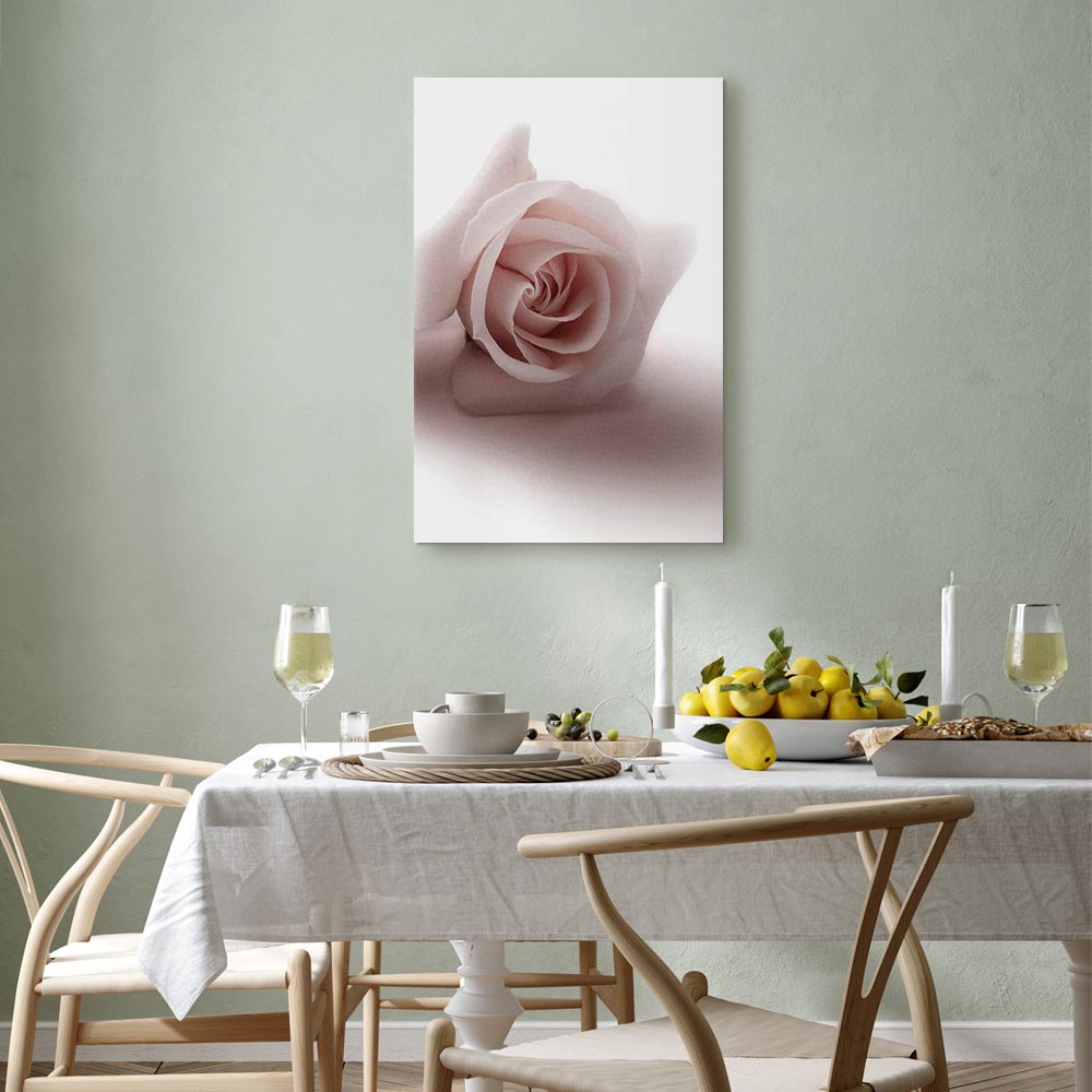 Pastel Pink Rose Floral Canvas Print