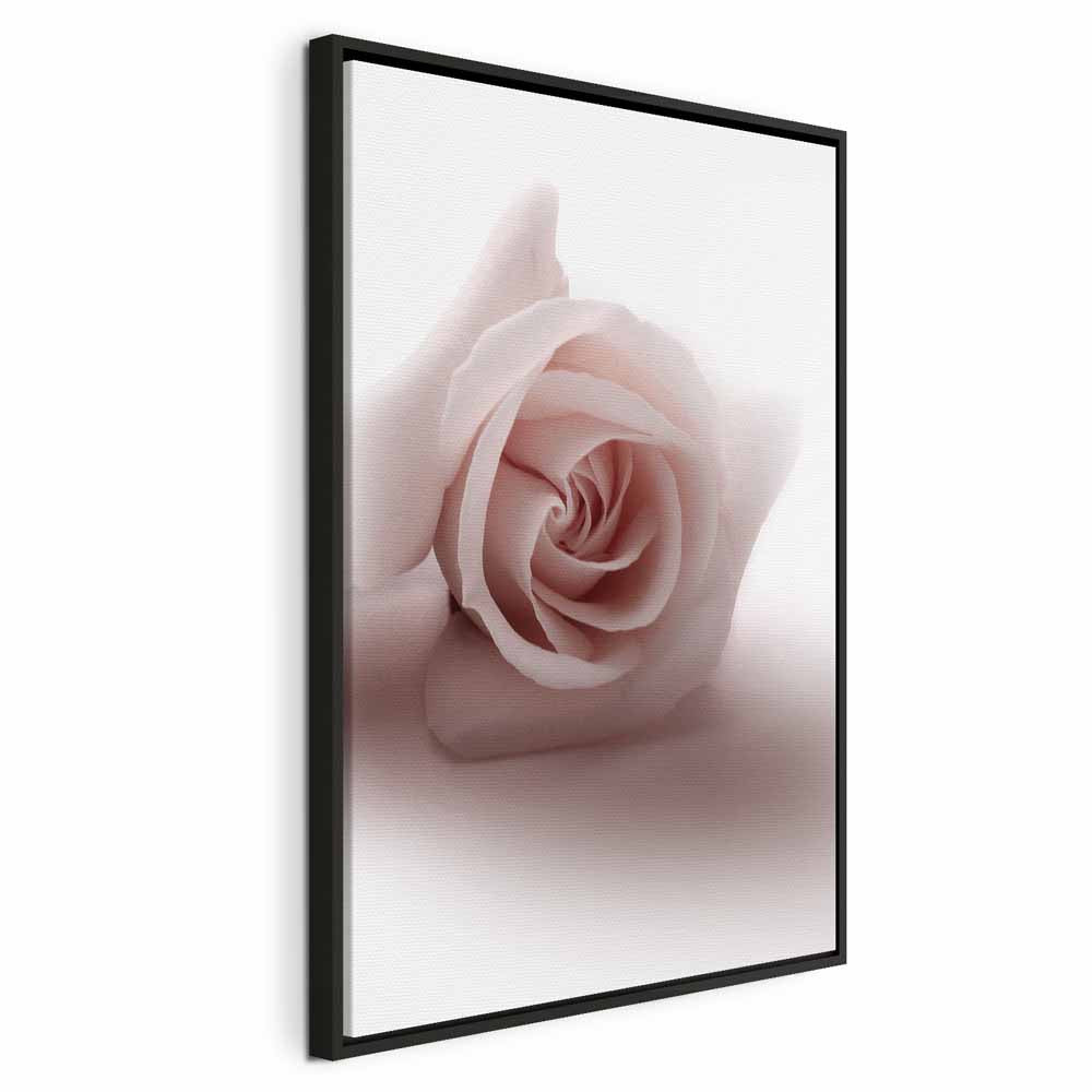 Pastel Pink Rose Floral Canvas Print
