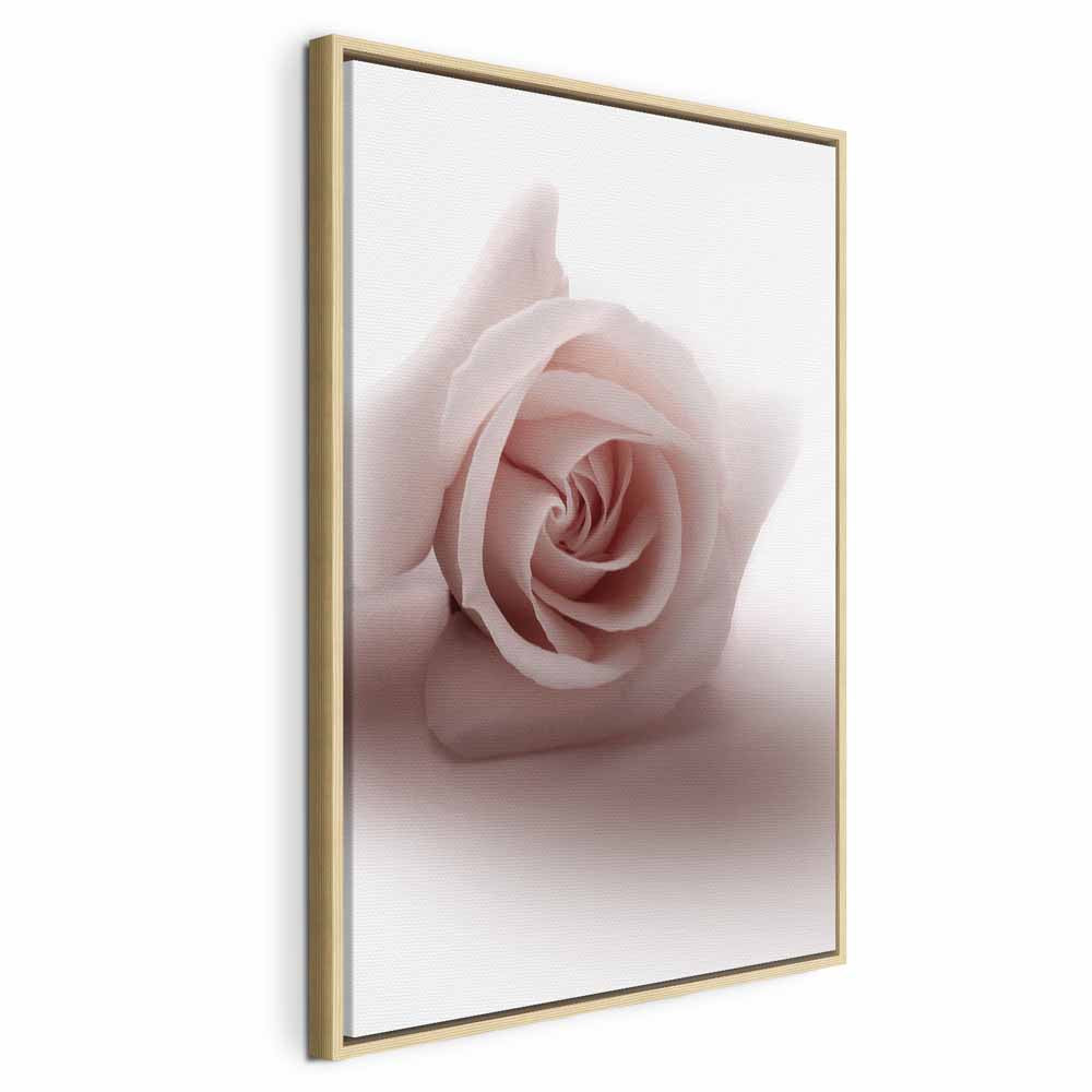 Pastel Pink Rose Floral Canvas Print
