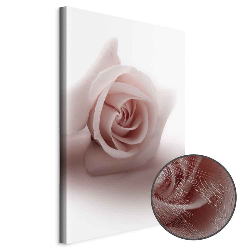 Pastel Pink Rose Floral Canvas Print