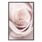Porcelain Rose Floral Poster