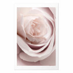 Porcelain Rose Floral Poster