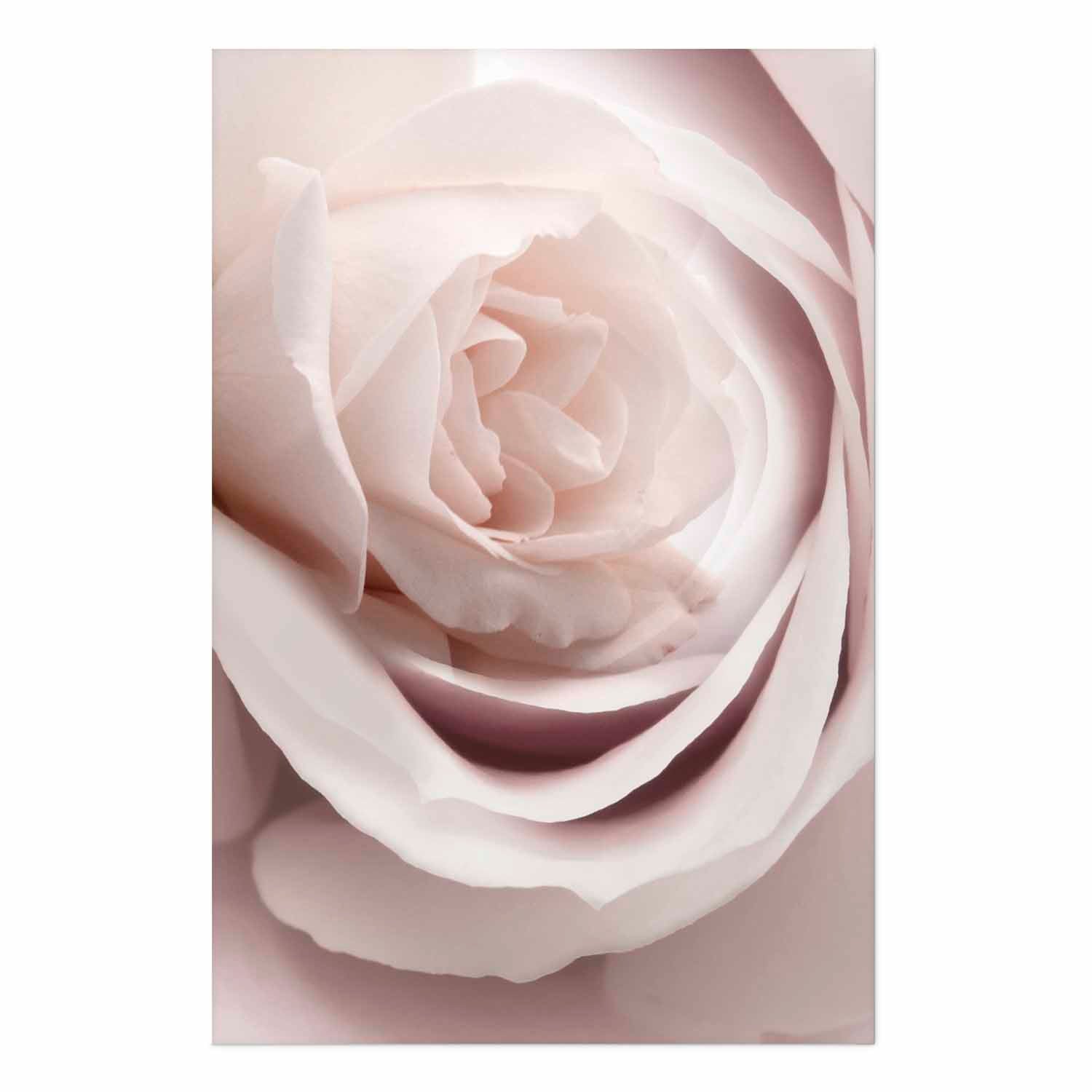 Porcelain Rose Floral Poster