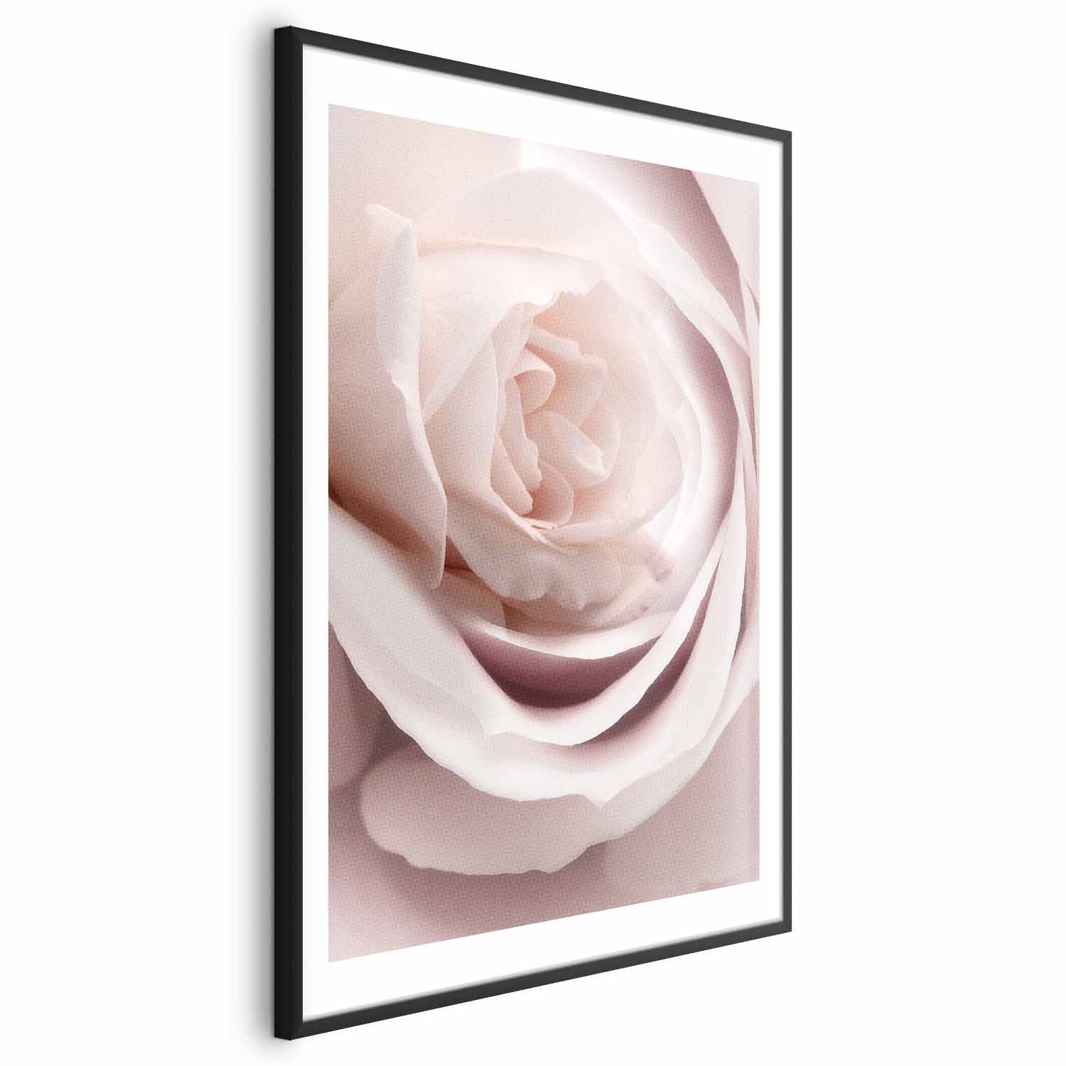 Porcelain Rose Floral Poster