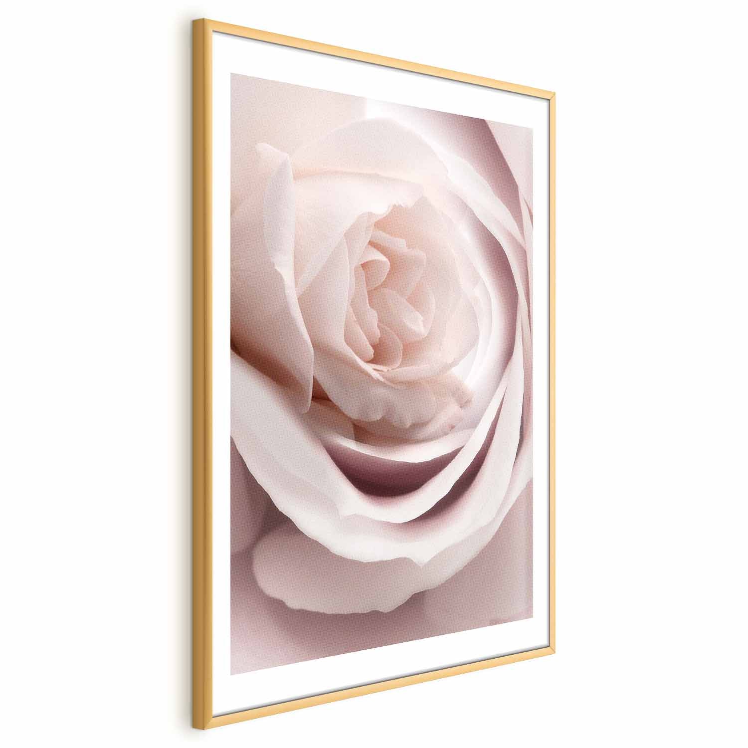 Porcelain Rose Floral Poster