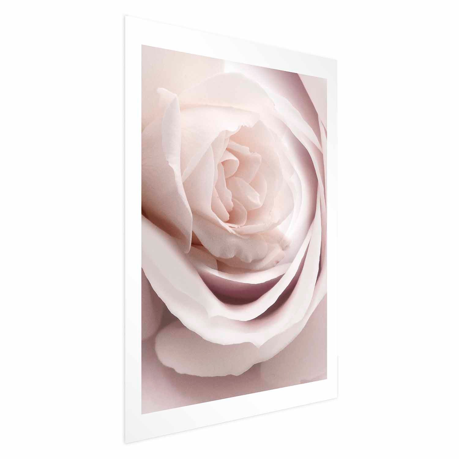 Porcelain Rose Floral Poster