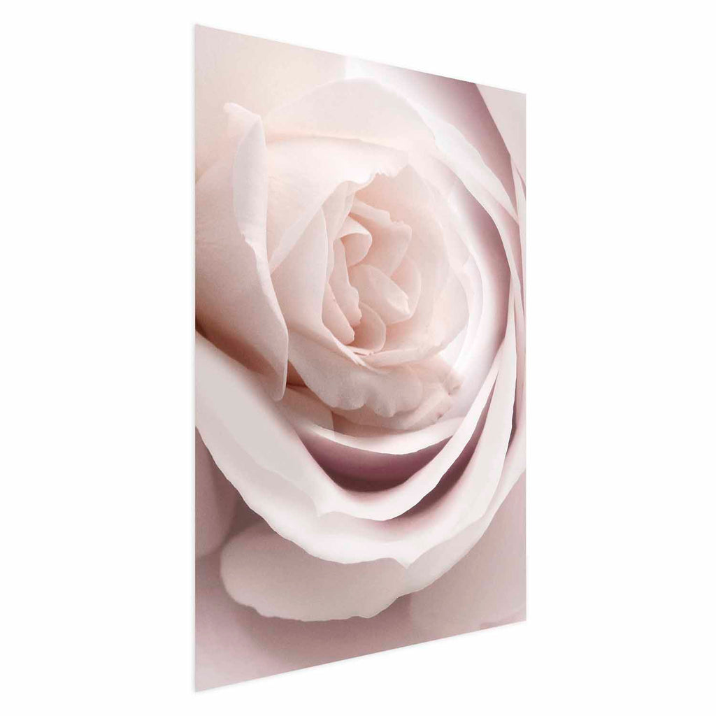 Porcelain Rose Floral Poster