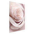 Porcelain Rose Floral Poster