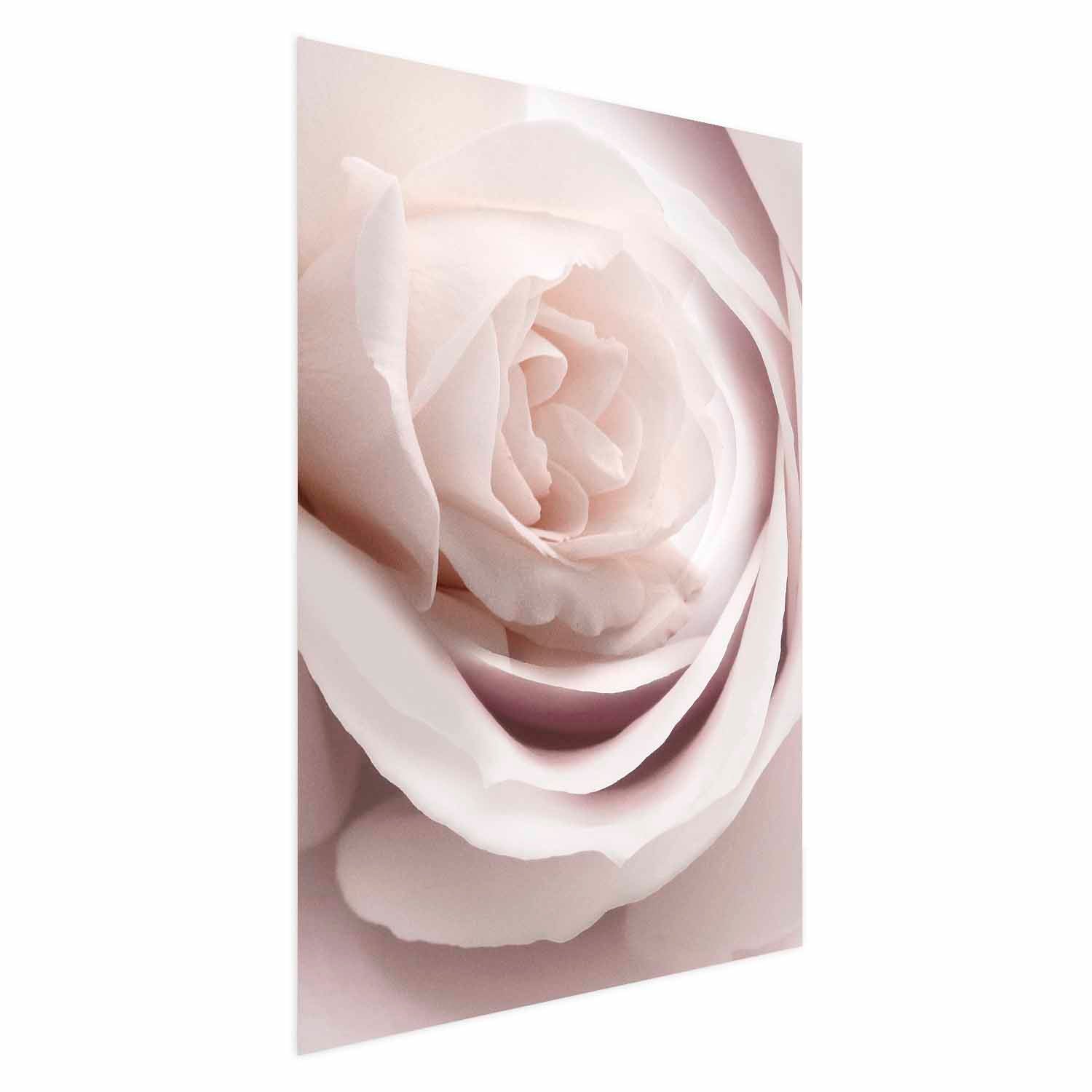 Porcelain Rose Floral Poster