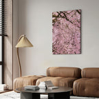 Cherry Blossom Tree Spring Canvas Print