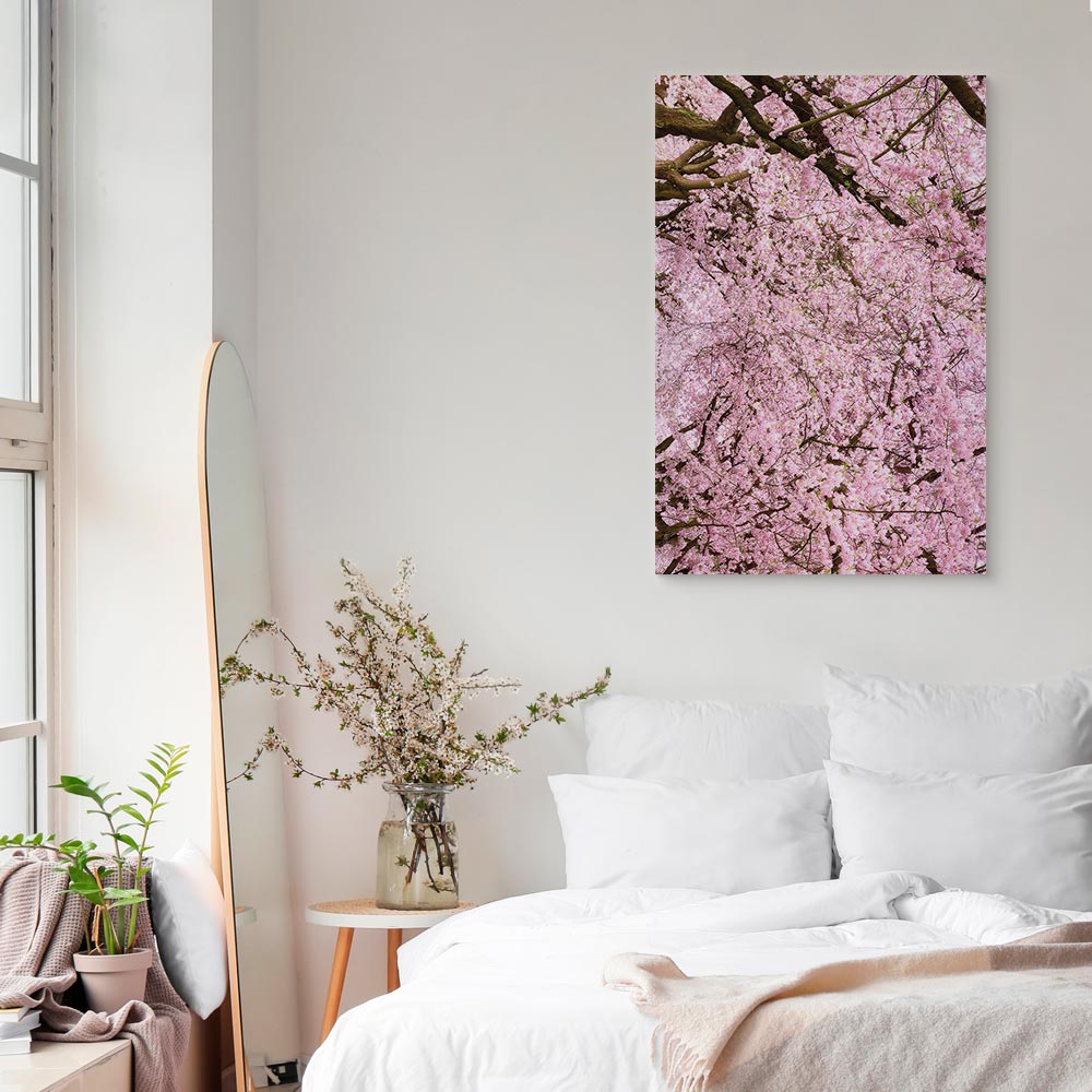 Cherry Blossom Tree Spring Canvas Print