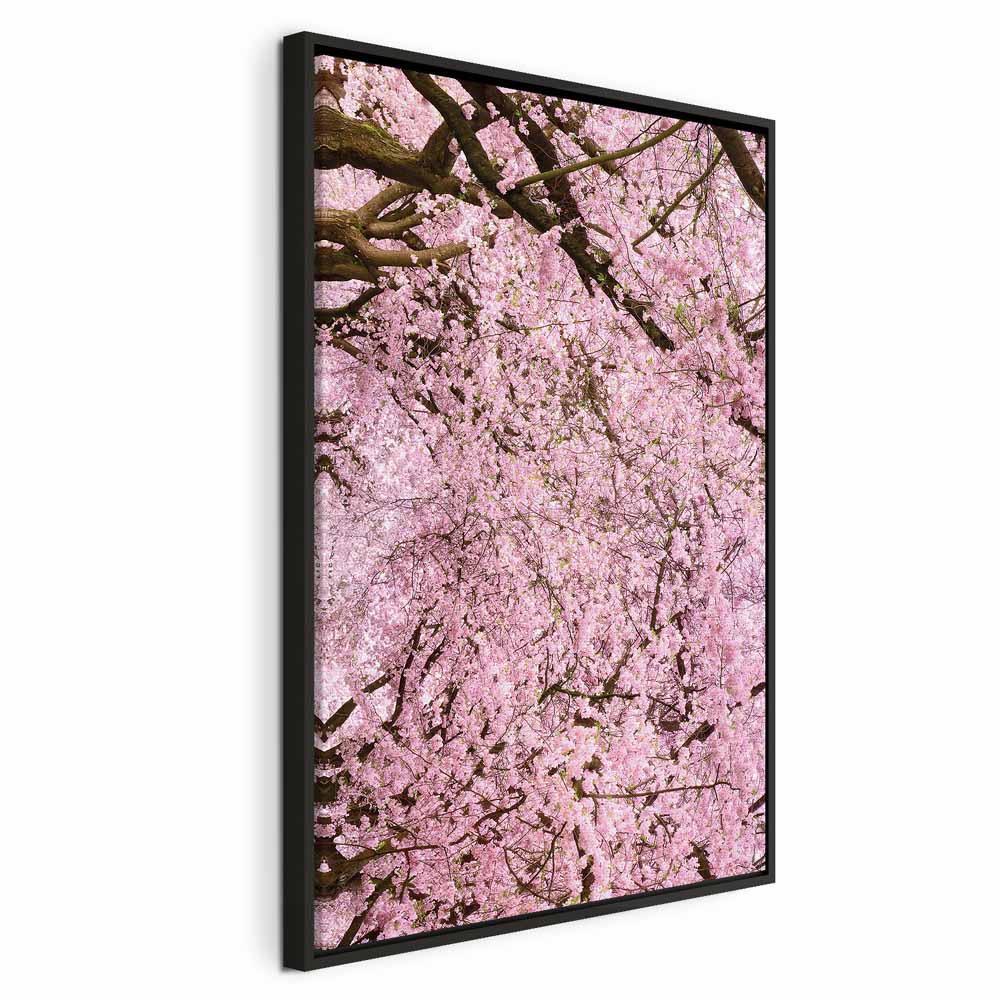 Cherry Blossom Tree Spring Canvas Print