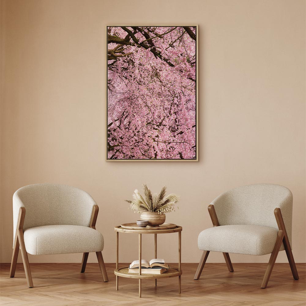 Cherry Blossom Tree Spring Canvas Print