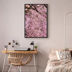 Cherry Blossom Tree Spring Canvas Print
