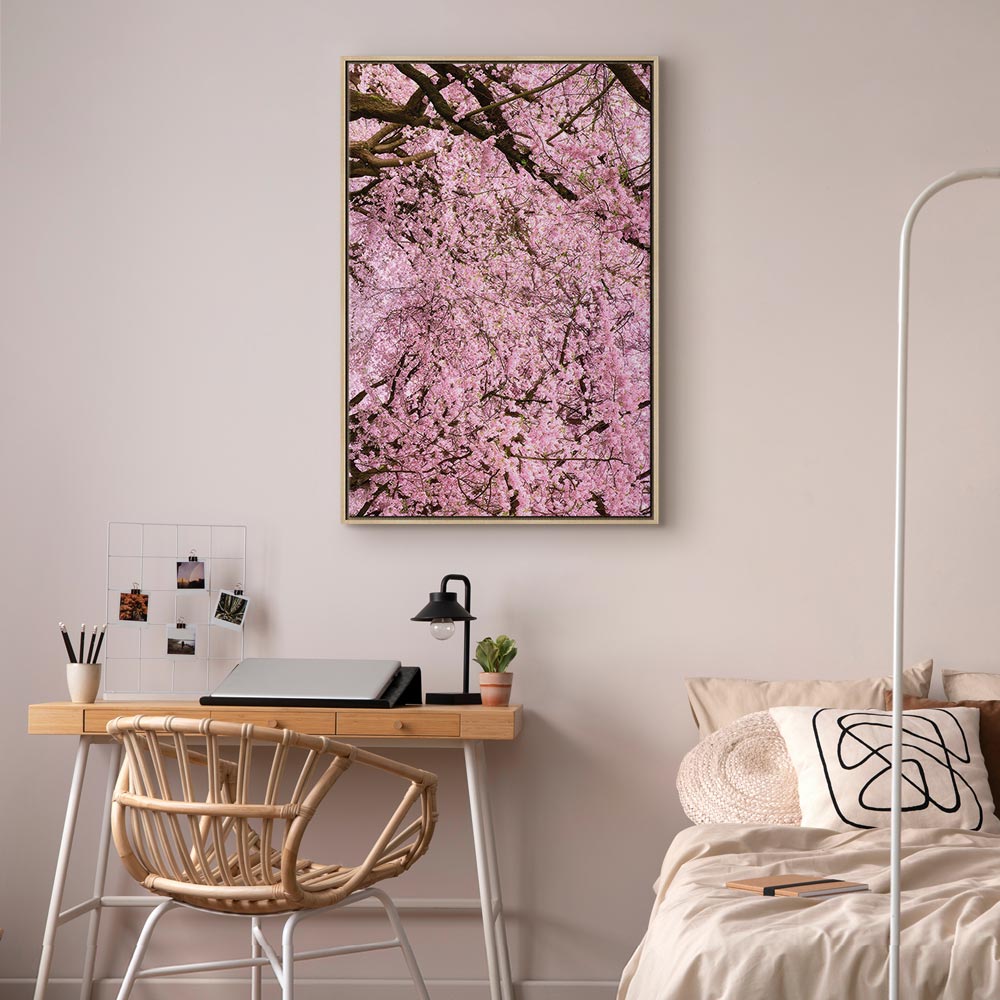 Cherry Blossom Tree Spring Canvas Print