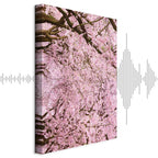 Cherry Blossom Tree Spring Canvas Print