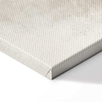 Petrified Stone Texture Abstract Canvas Print