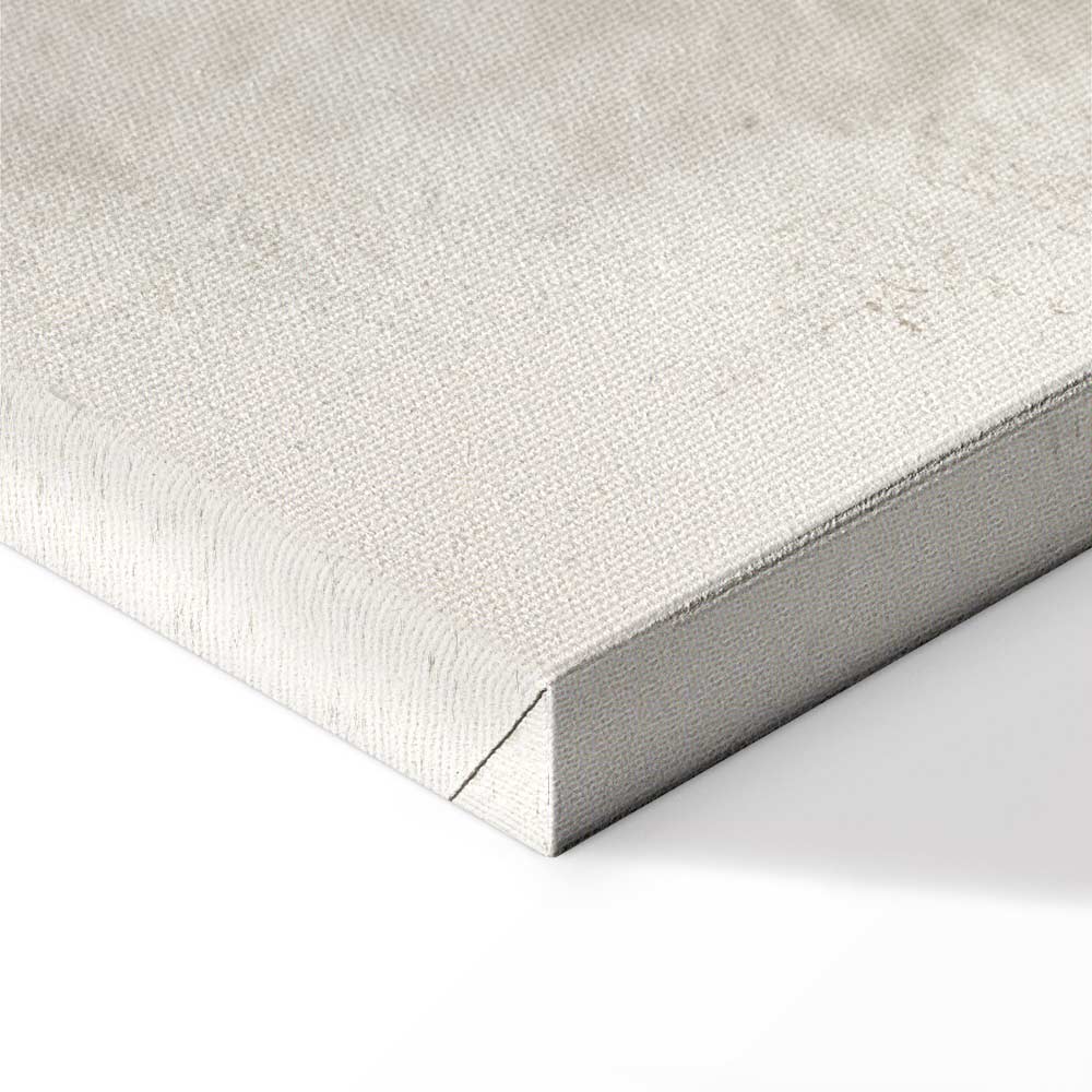 Petrified Stone Texture Abstract Canvas Print