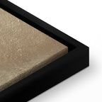 Petrified Stone Texture Abstract Canvas Print