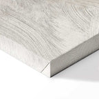 Petrified Stone Texture Abstract Canvas Print