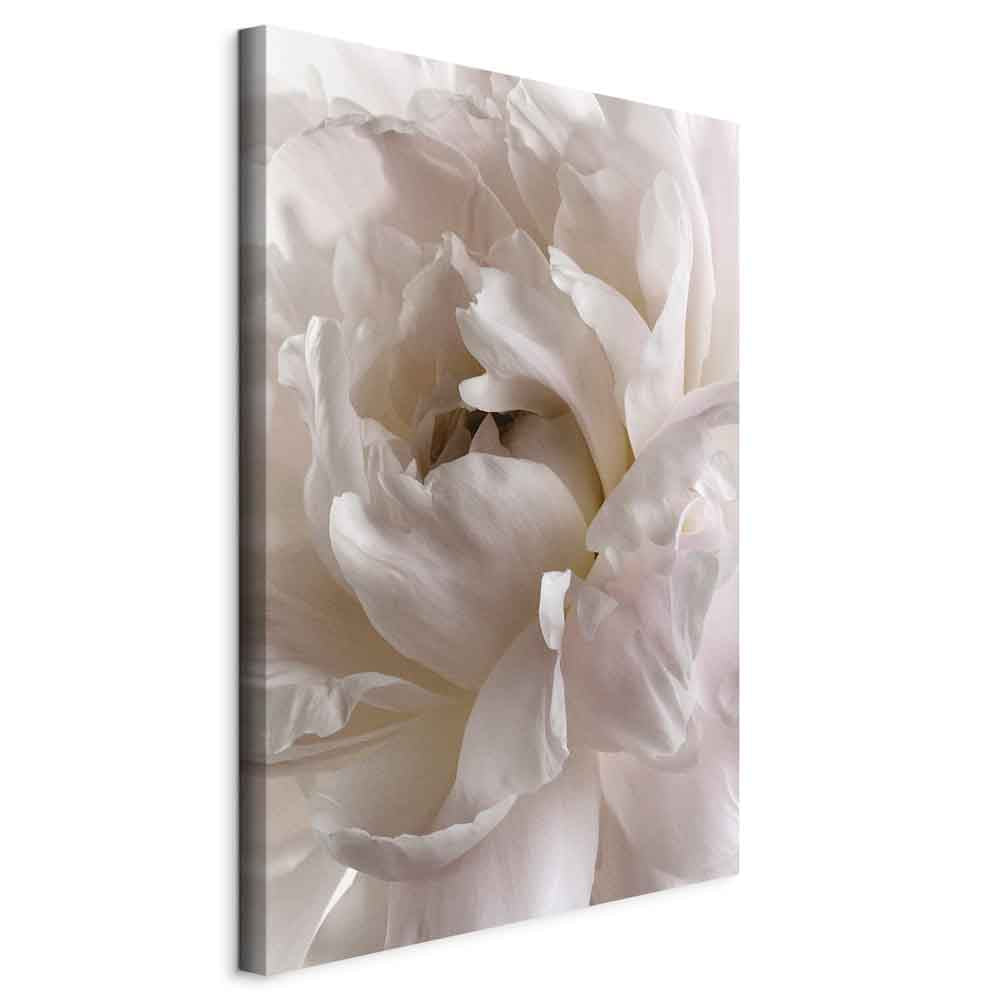 Fluffy Floral Distraction Vertical Canvas Print