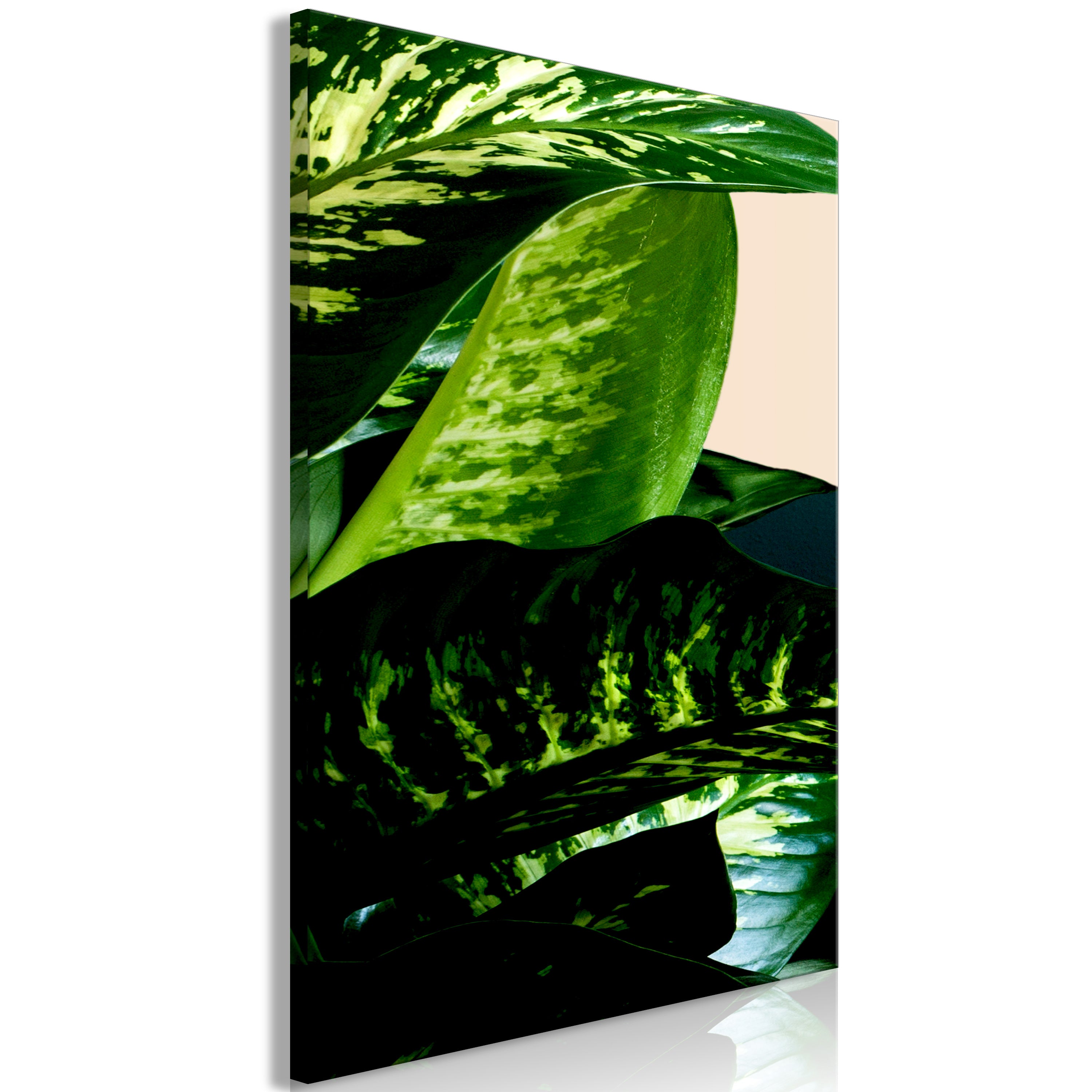 Canvas Print Dieffenbachia Vertical 1 Part