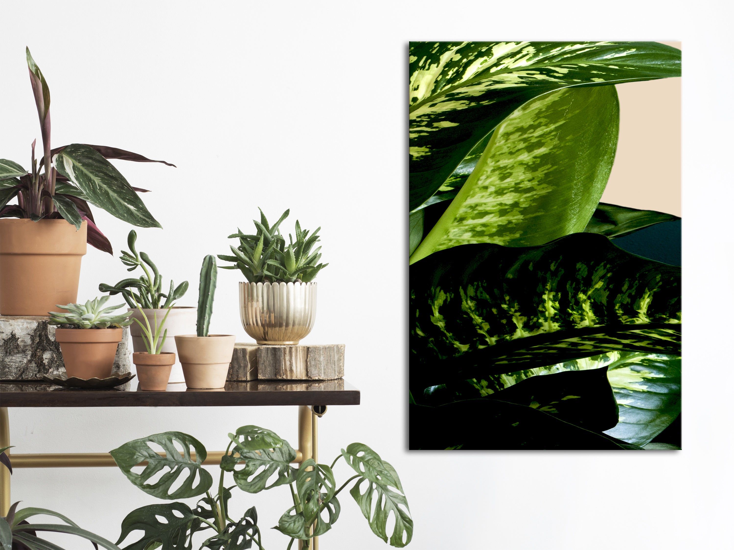 Canvas Print Dieffenbachia Vertical 1 Part