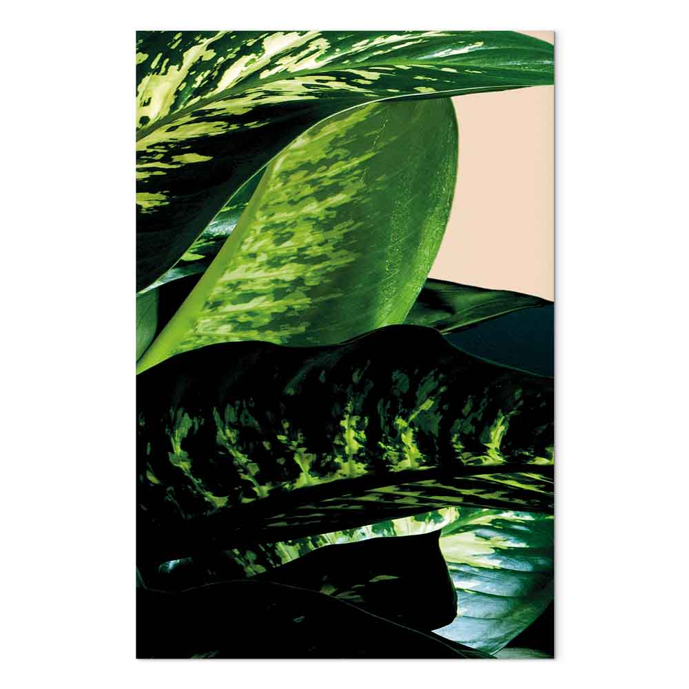 Dieffenbachia Leaves Botanical Vertical Canvas Print