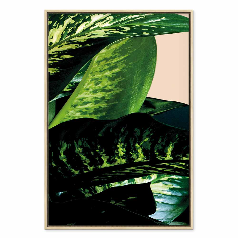 Dieffenbachia Leaves Botanical Vertical Canvas Print