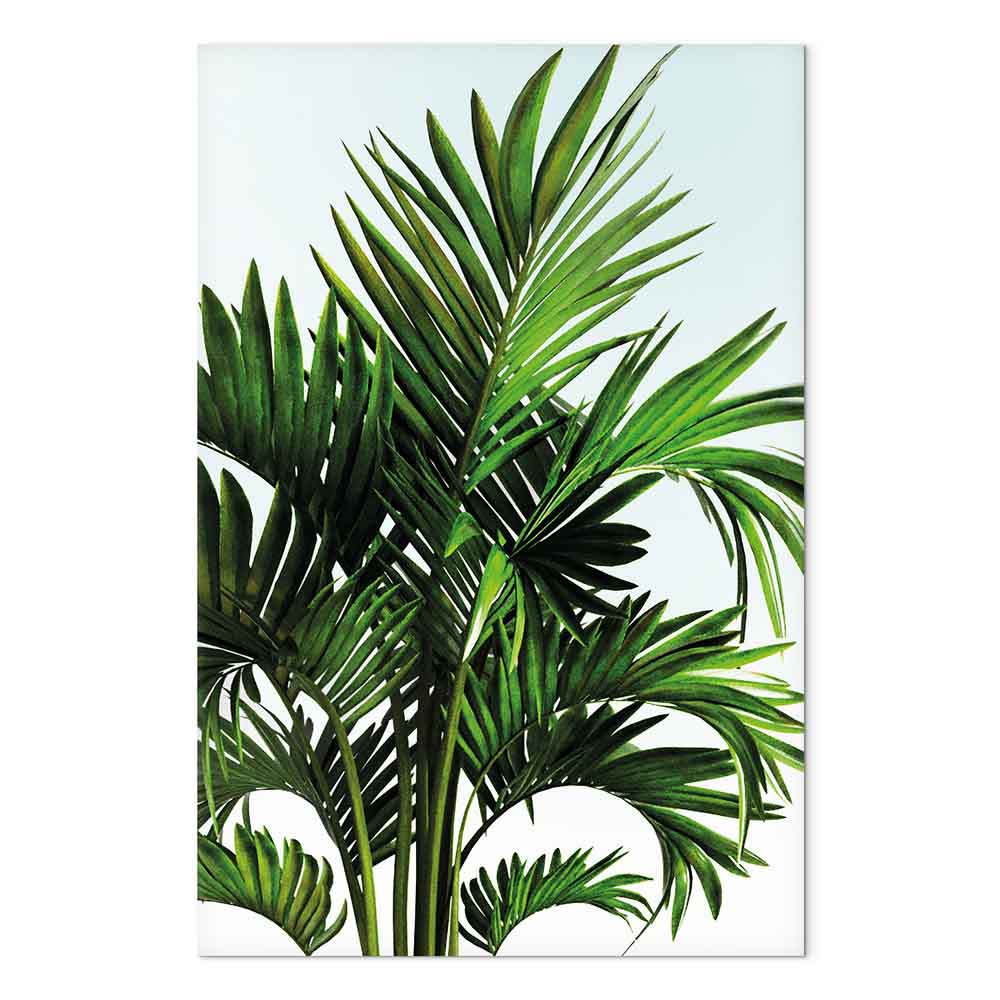 Tunisian Palm Trees Tropical Canvas Print