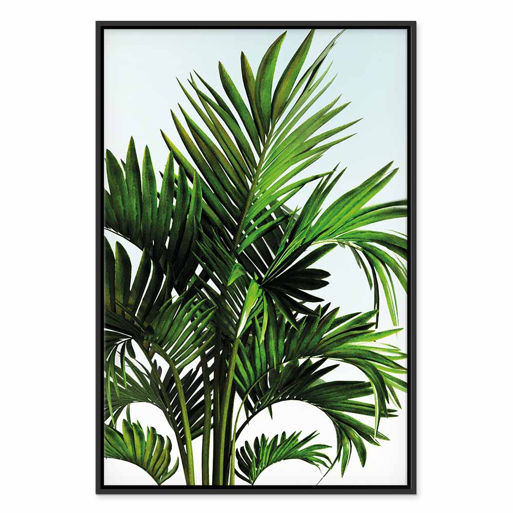 Tunisian Palm Trees Tropical Canvas Print