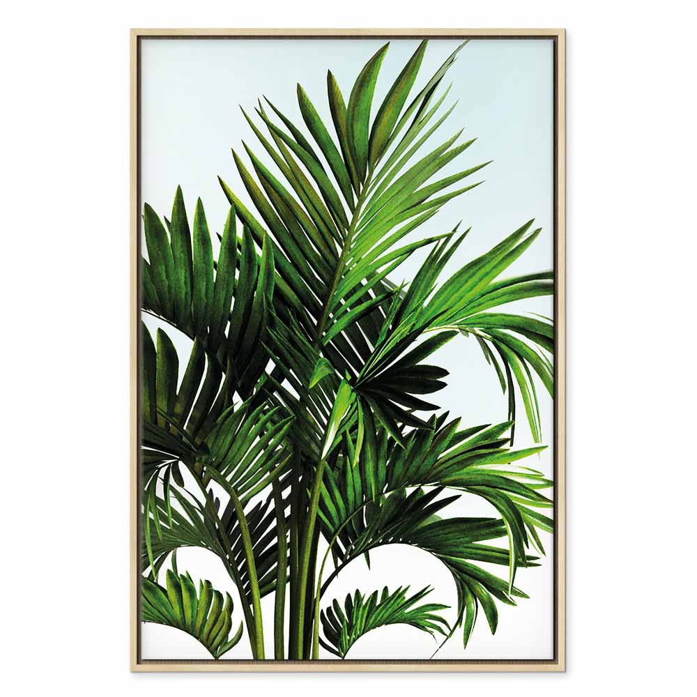 Tunisian Palm Trees Tropical Canvas Print