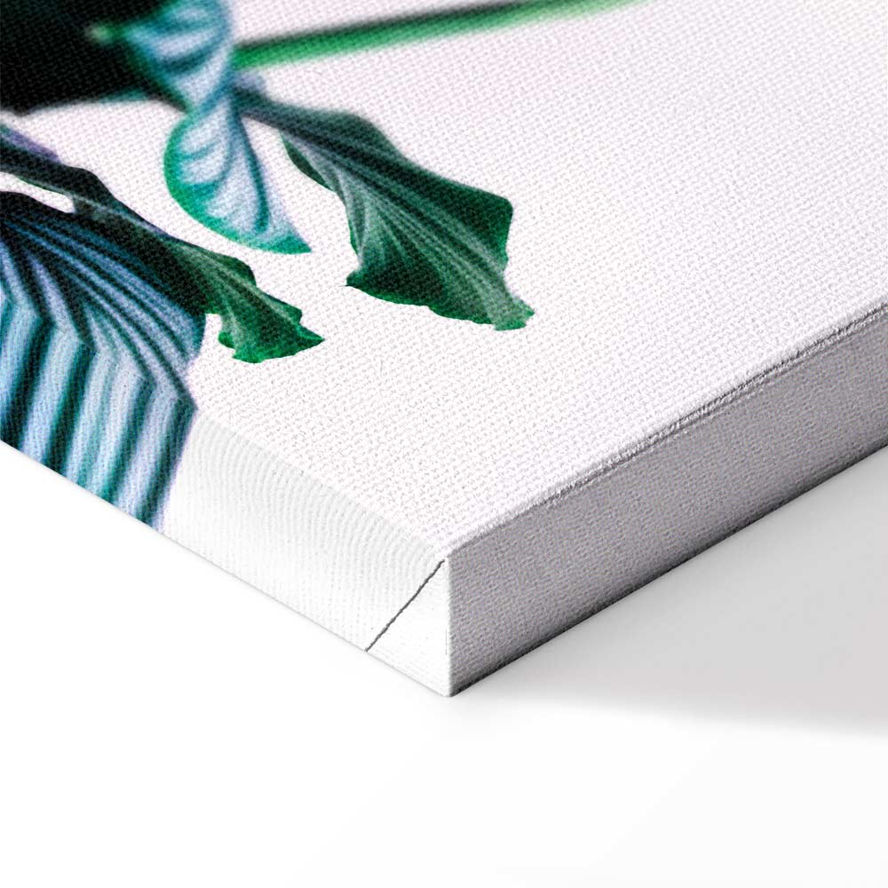 Springy Leaves Nature Canvas Print