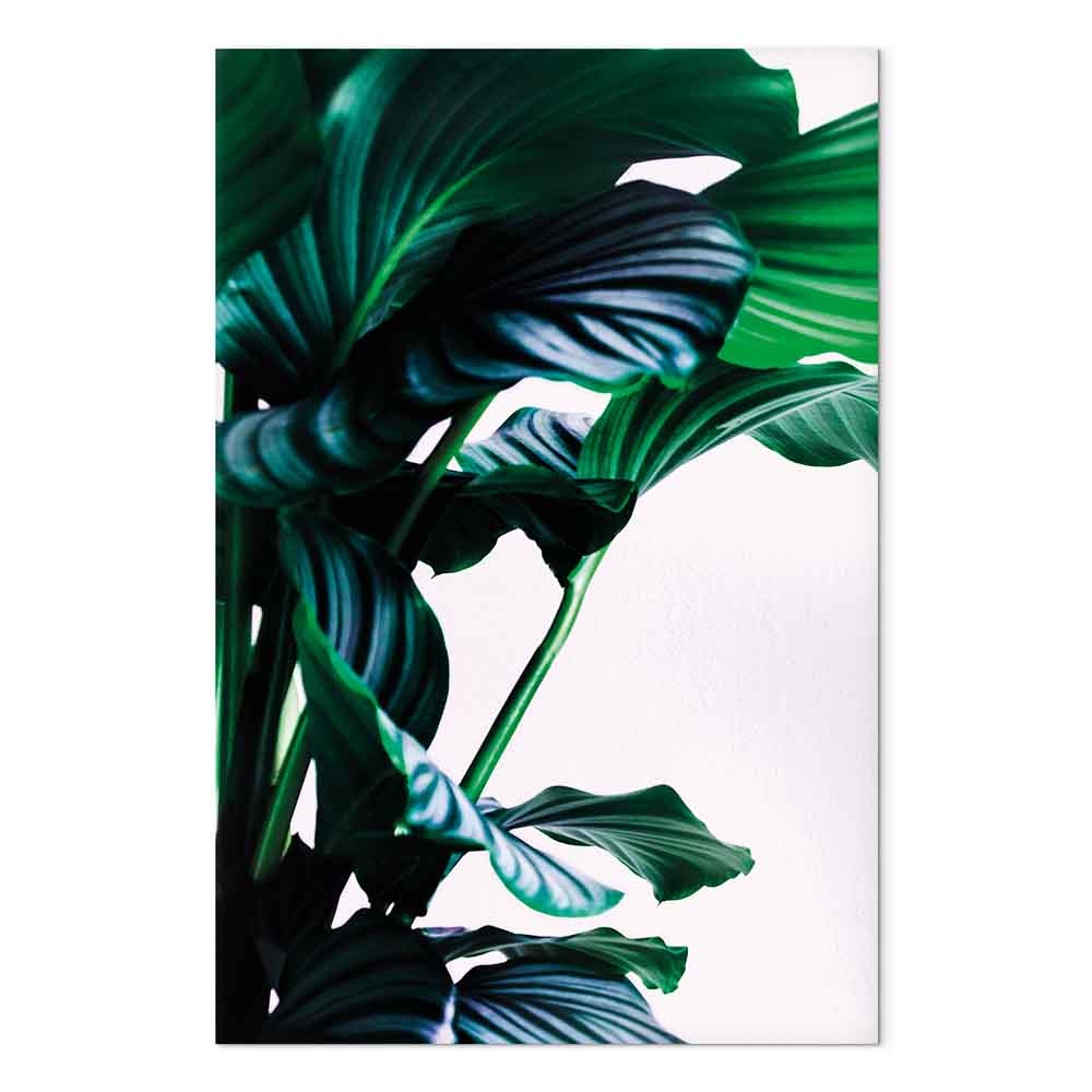 Springy Leaves Nature Canvas Print