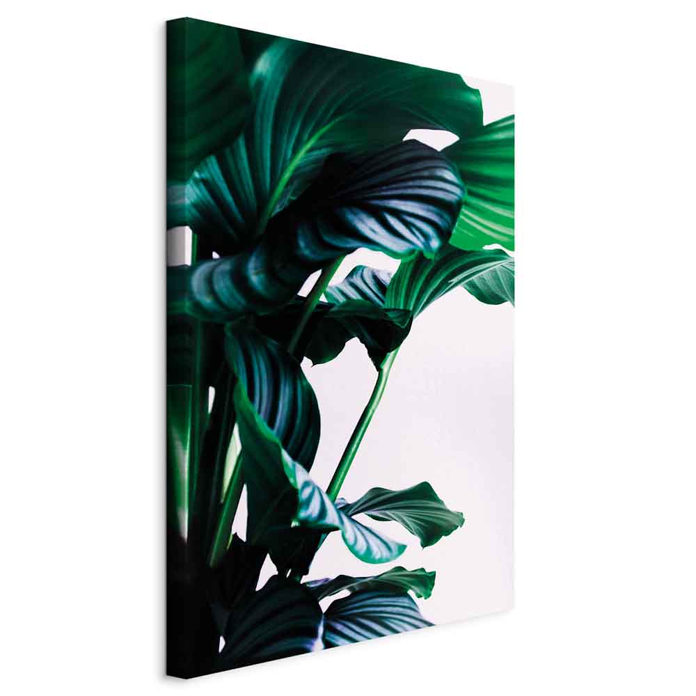 Springy Leaves Nature Canvas Print