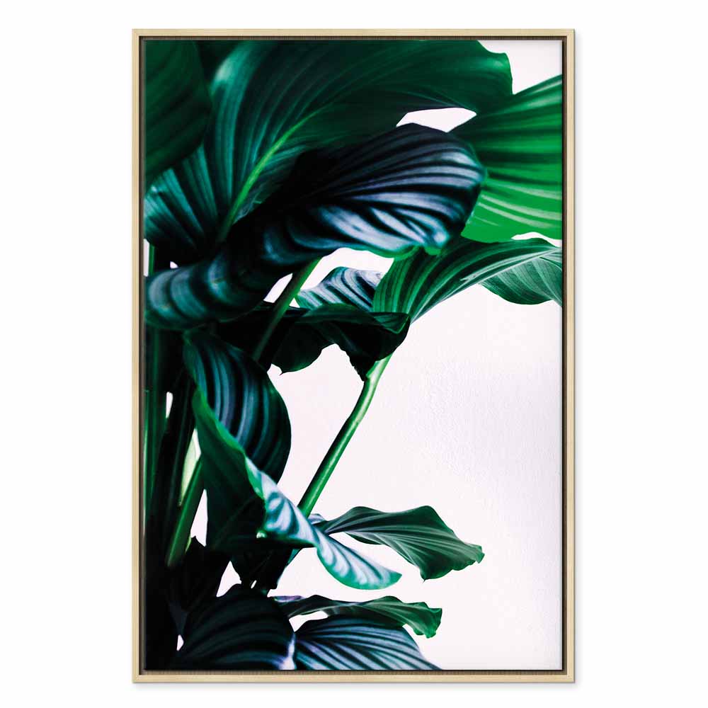 Springy Leaves Nature Canvas Print