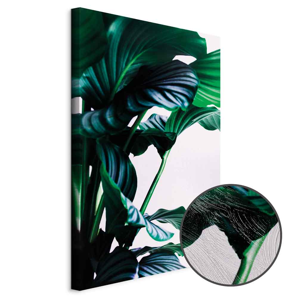 Springy Leaves Nature Canvas Print