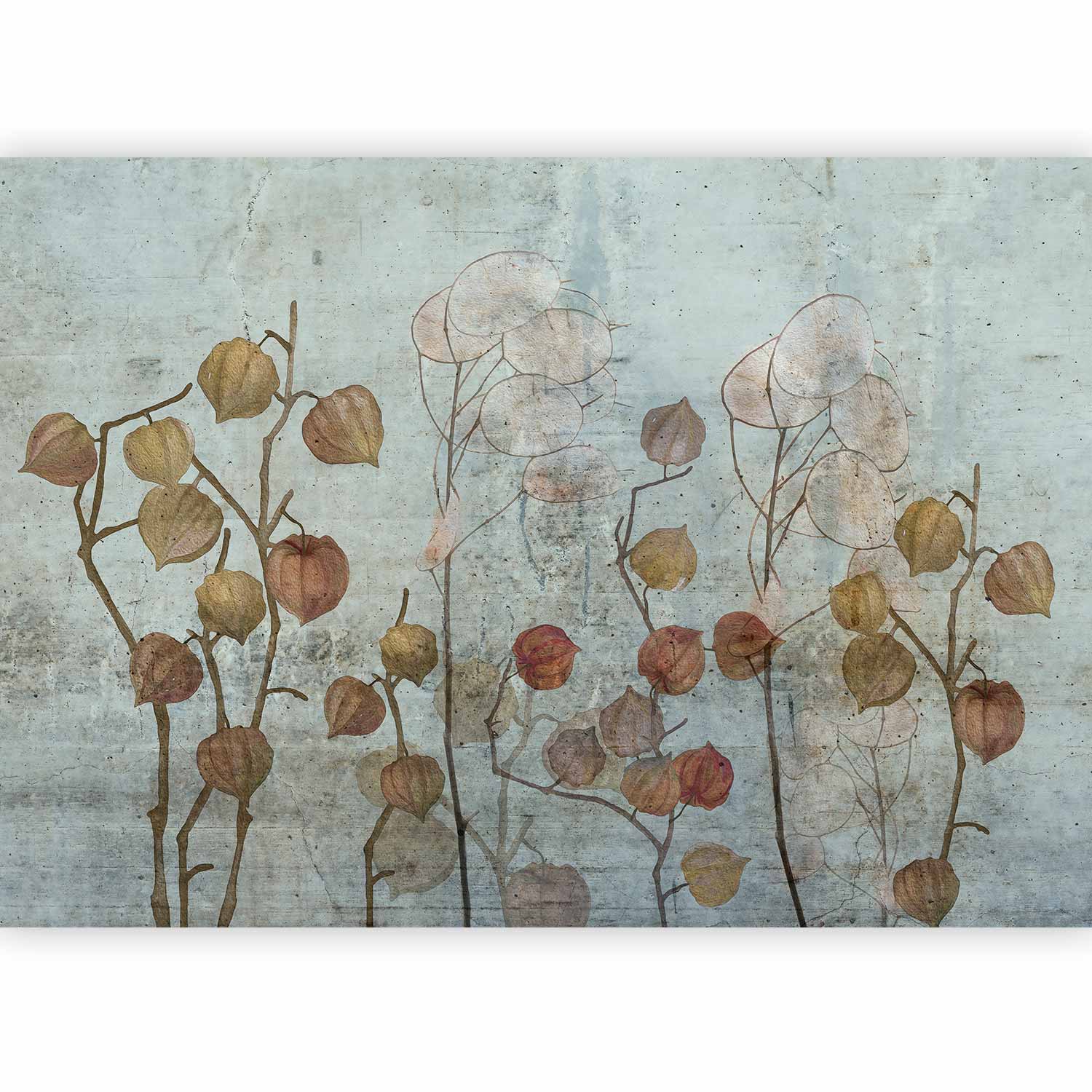 Painted Lunaria Floral Wall Mural