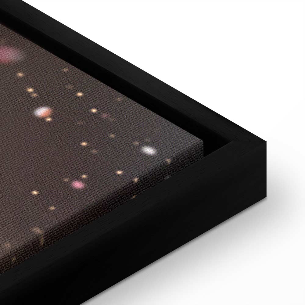 Winter Pine Cone Nature Canvas Print