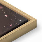 Winter Pine Cone Nature Canvas Print