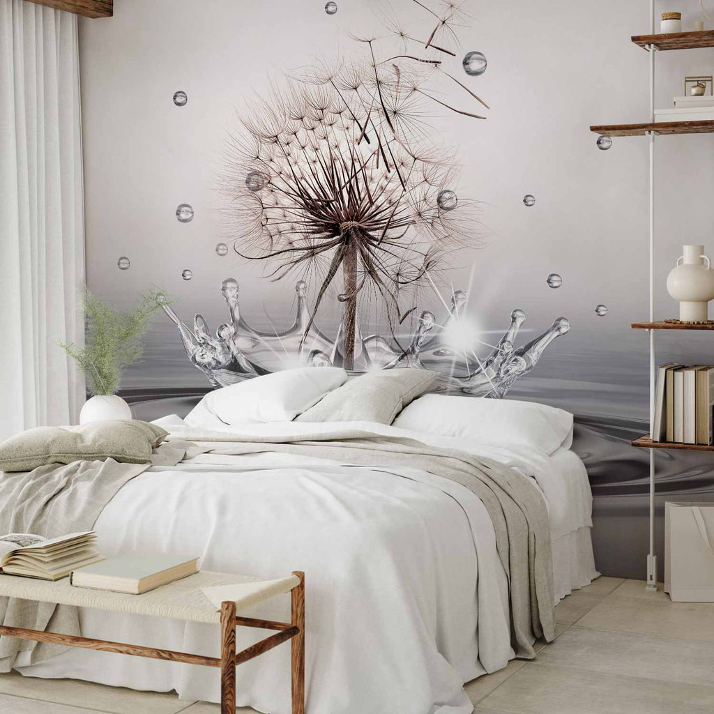 Dandelion Water Drops Nature Wall Mural