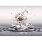 Dandelion Water Drops Nature Wall Mural
