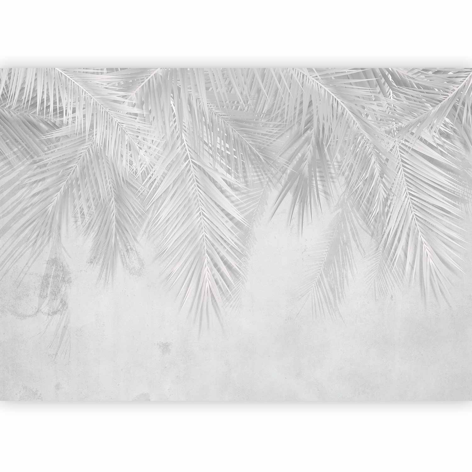 Grey Tropical Palm Leaves Wall Mural