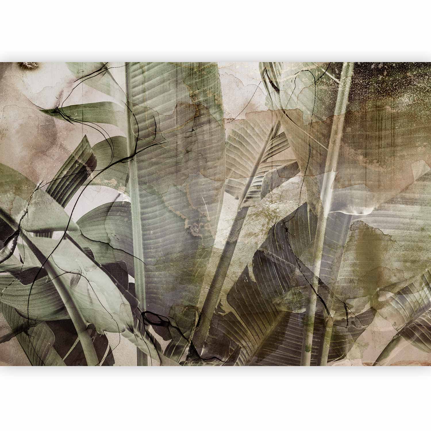 Banana Leaves Tropical Wall Mural