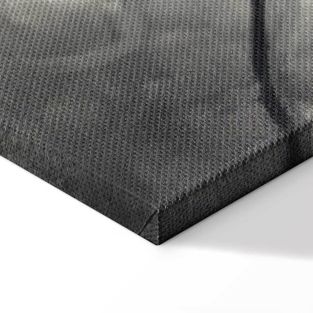 Lighted Tree Branches Nature Canvas Print