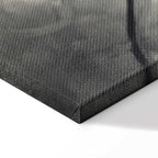 Lighted Tree Branches Nature Canvas Print