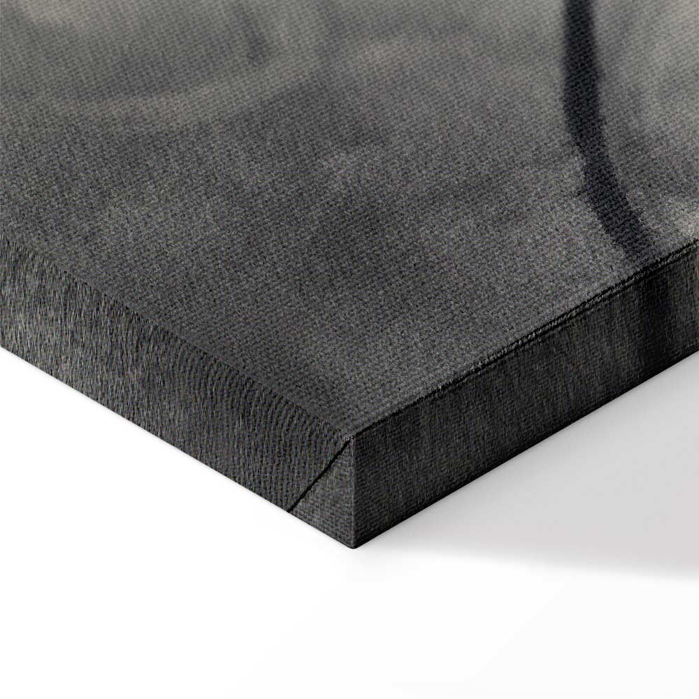 Lighted Tree Branches Nature Canvas Print